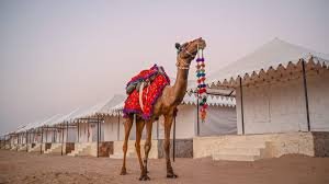 Camel Safari in Jaisalmer