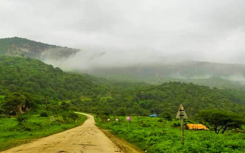 Pipliya Ji
